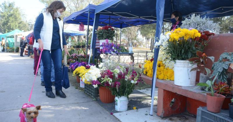 Desde hoy regresa el Paseo de los artesanos y floricultores en Palpalaacute