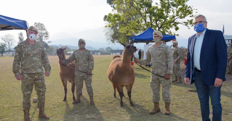 Entregaron 20 cameacutelidos al Grupo de Artilleriacutea 5 para movimientos operacionales