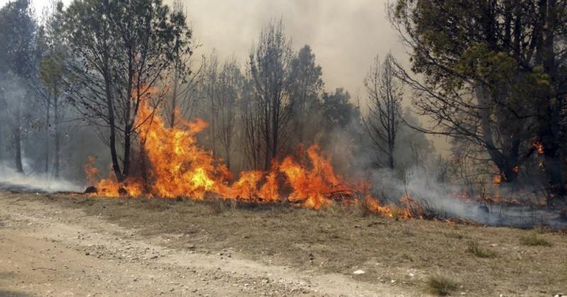 Se controla el avance del fuego en La unioacuten seca y Arroyo Yuto