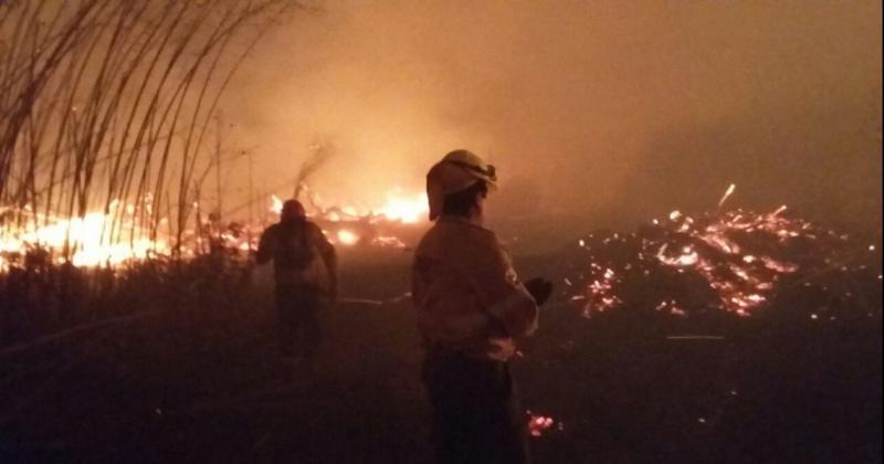 Maacutes de 18000 hectaacutereas se quemaron en las Yungas por los incendios forestales