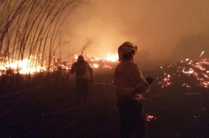 Maacutes de 18000 hectaacutereas se quemaron en las Yungas por los incendios forestales