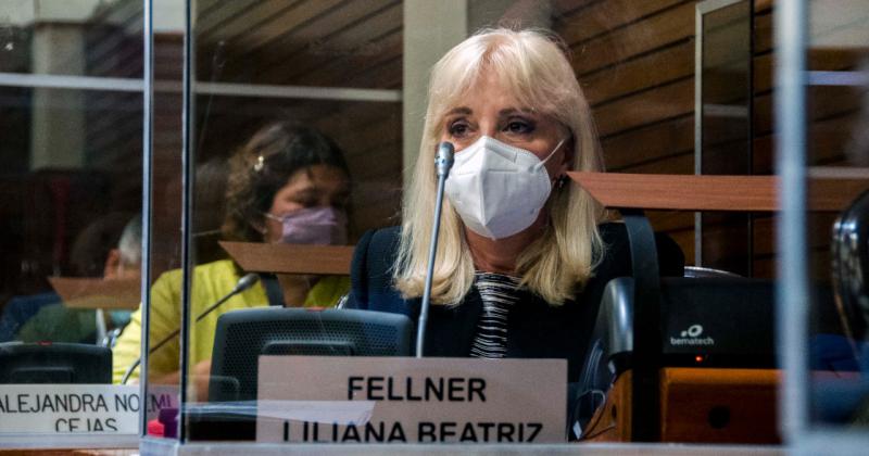 Liliana Fellner pidioacute que organismos dejen de cometer errores y actuacuteen con responsabilidad