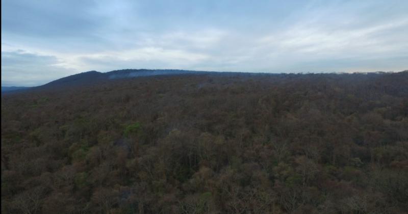 Incendio forestal de Unioacuten seca sigue activo otros dos fueron contenidos 