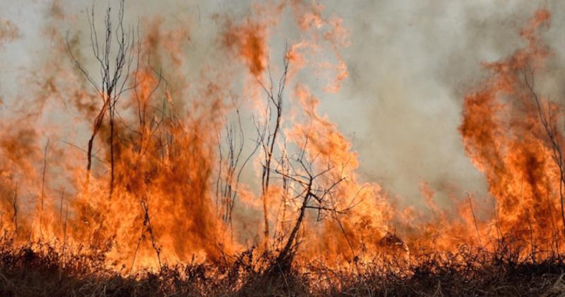 Contienen el incendio en las Yungas pero hay dos nuevos focos que preocupan