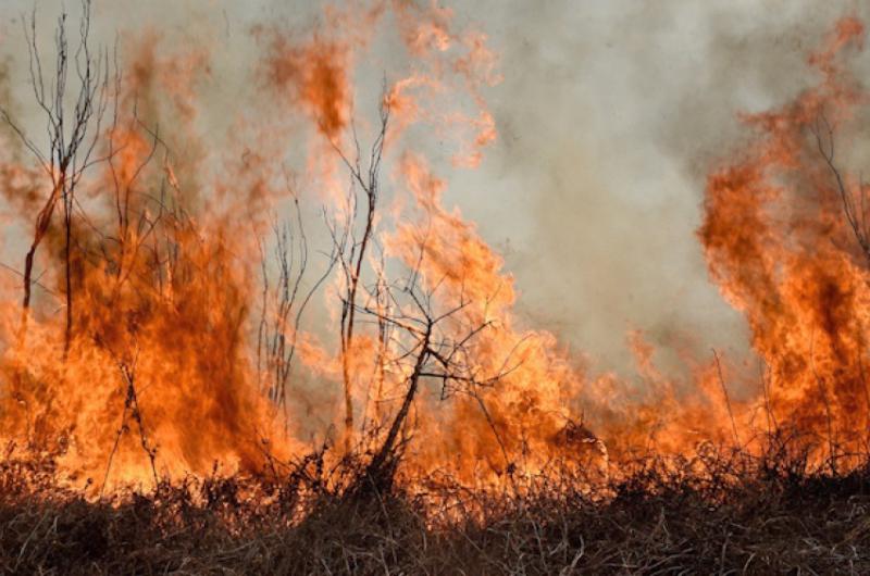 Contienen el incendio en las Yungas pero hay dos nuevos focos que preocupan