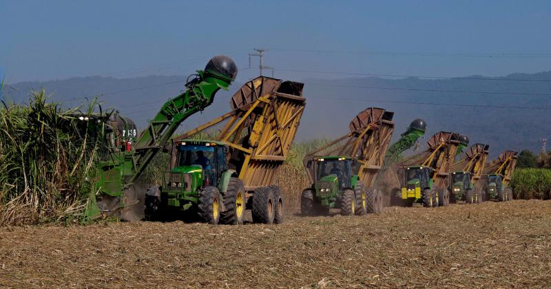 Para el 2021 Ledesma planea invertir maacutes de 10 millones de doacutelares