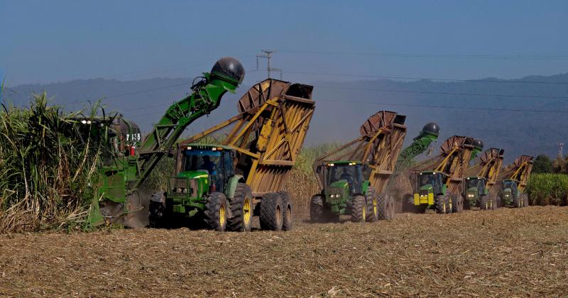 Para el 2021 Ledesma planea invertir maacutes de 10 millones de doacutelares