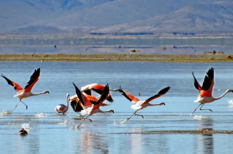 Reabrioacute al puacuteblico el monumento natural Laguna de Pozuelos