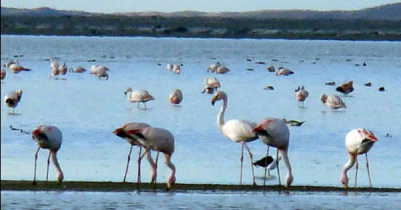 Reabrioacute al puacuteblico el monumento natural Laguna de Pozuelos
