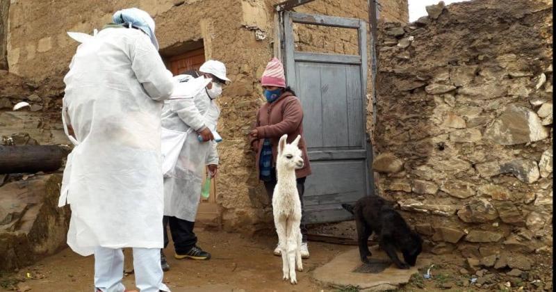 Operativos sanitarios casa por casa en el norte de la Provincia