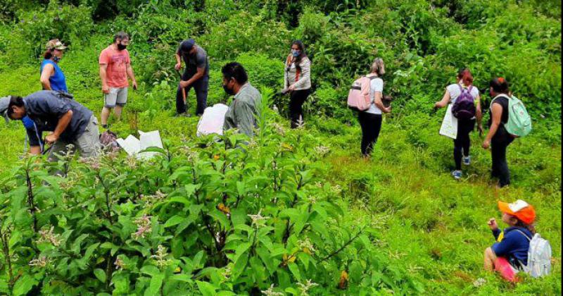 Educacioacuten Ambiental La clave de un nuevo tiempo