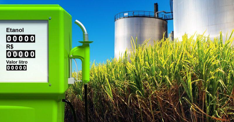 Jujuy y el NOA desairados al no incluirse la proacuterroga de la ley de biocombustibles