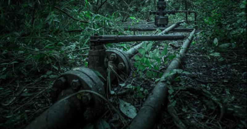 Ordenan suspender la extraccioacuten de petroacuteleo del parque Calilegua