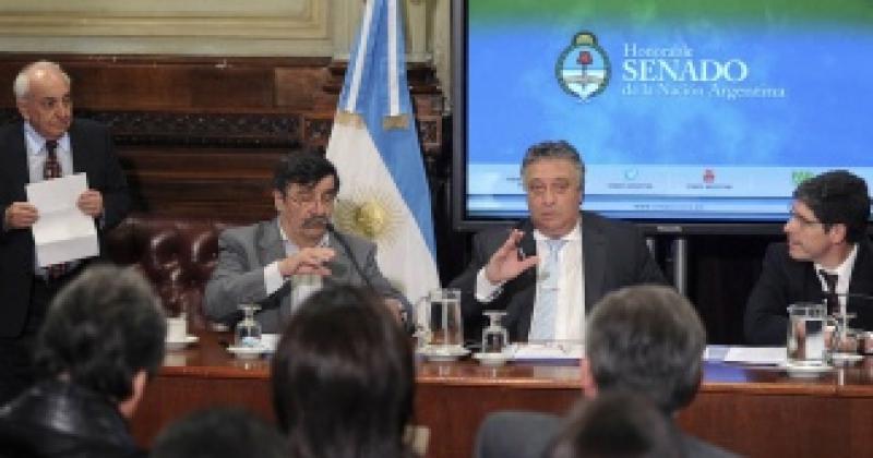 El Senado ratificoacute el rechazo a la poliacutetica britaacutenica por Malvinas 