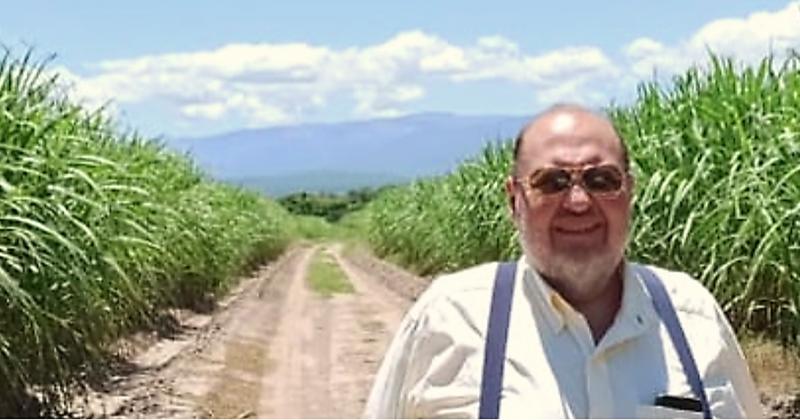 Productores cantildeeros preocupados por la caiacuteda del precio del azuacutecar
