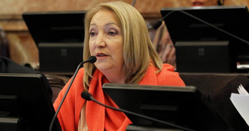 Giacoppo solicitoacute tratamiento de proyectos de movilidad eleacutectrica para el transporte