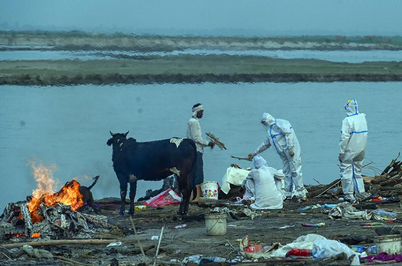 India superoacute los 250000 muertos por coronavirus y rescatoacute cadaacuteveres del Ganges