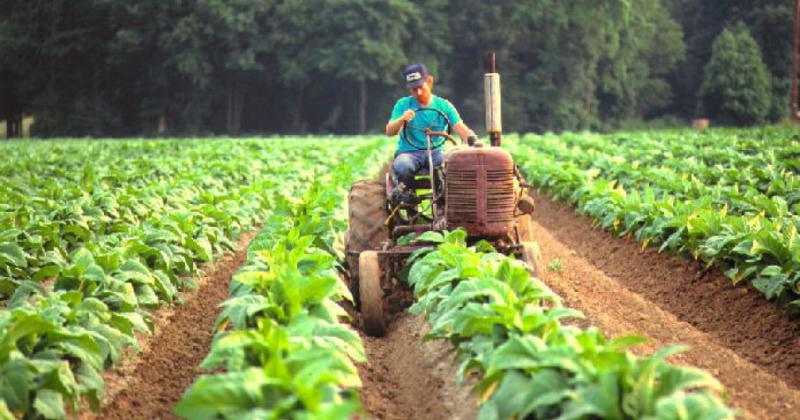 Jujuy sale en defensa del Fondo Especial del Tabaco