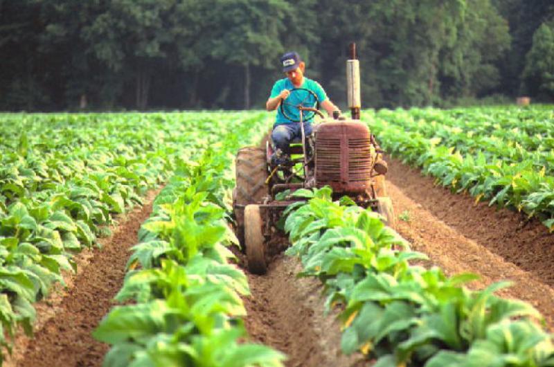 Jujuy sale en defensa del Fondo Especial del Tabaco