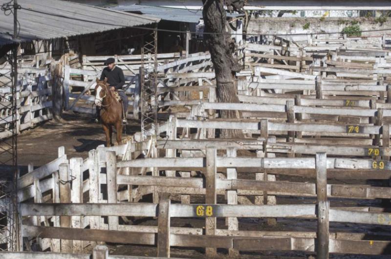 Se profundiza el malestar del Campo contra el Gobierno 