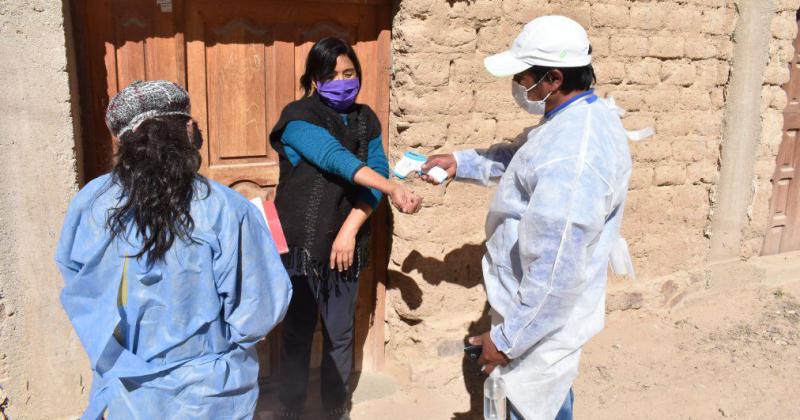 Reportaron 239 casos positivos y 50 altas meacutedicas en Jujuy