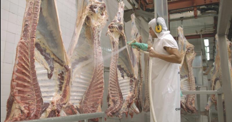 Nuevo esquema de exportaciones de carne y renovado plan ganadero