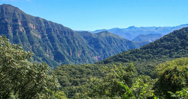 El Parque Nacional Calilegua dispondraacute de energiacutea renovable