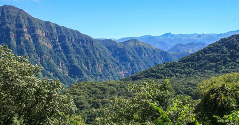 El Parque Nacional Calilegua dispondraacute de energiacutea renovable