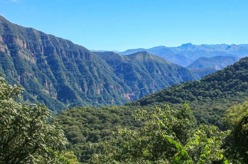 El Parque Nacional Calilegua dispondraacute de energiacutea renovable