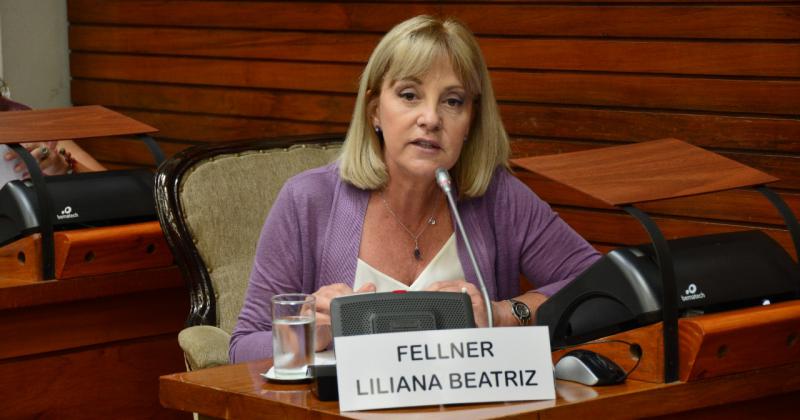 Liliana Fellner existe una sola poliacutetica y es la poliacutetica para todos los jujentildeos