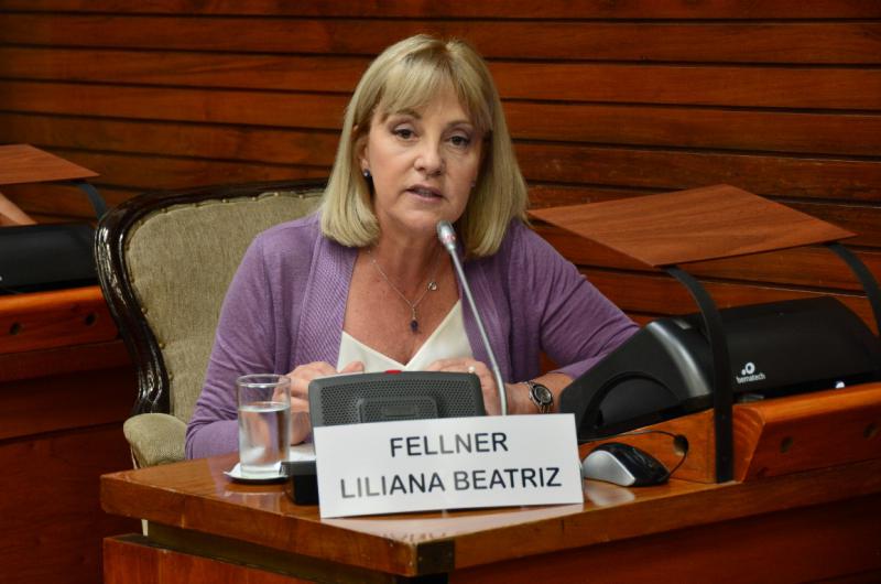 Liliana Fellner existe una sola poliacutetica y es la poliacutetica para todos los jujentildeos