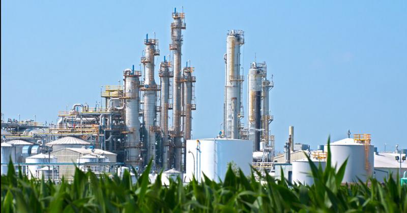 Prorrogan el Reacutegimen de Promocioacuten de Biocombustibles hasta fines de agosto