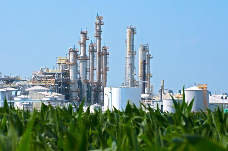 Prorrogan el Reacutegimen de Promocioacuten de Biocombustibles hasta fines de agosto