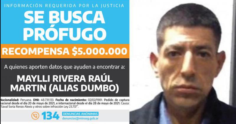  Pese a la recompensa de 5 millones ofrecida hace 2 meses no pueden encontrar a Dumbo