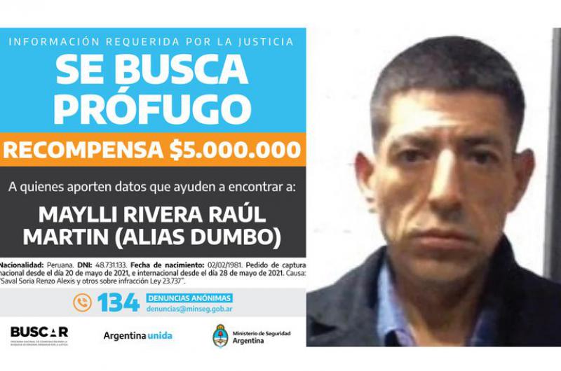  Pese a la recompensa de 5 millones ofrecida hace 2 meses no pueden encontrar a Dumbo