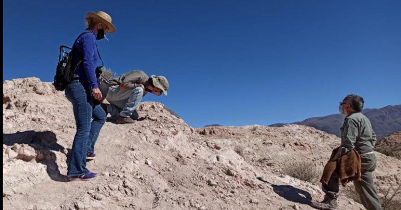 Hallaron restos foacutesiles de mamiacuteferos en Humahuaca