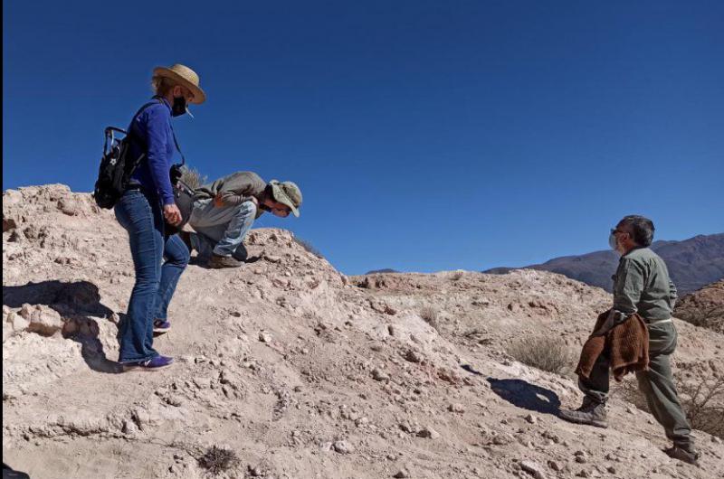 Hallaron restos foacutesiles de mamiacuteferos en Humahuaca