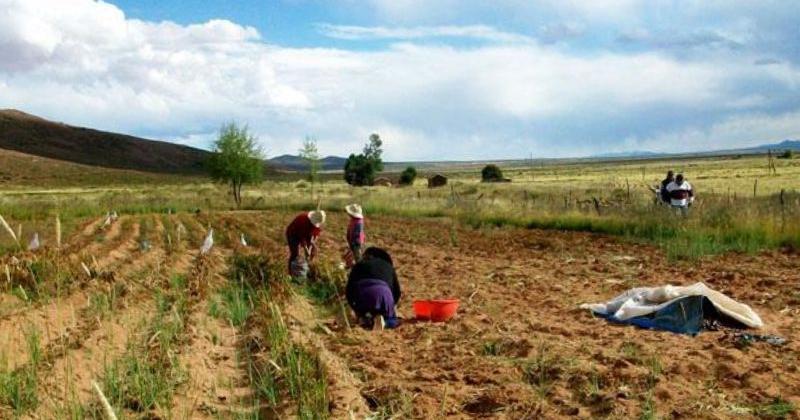 Creacuteditos e impulso para la agricultura familiar en la Quebrada de Humahuaca