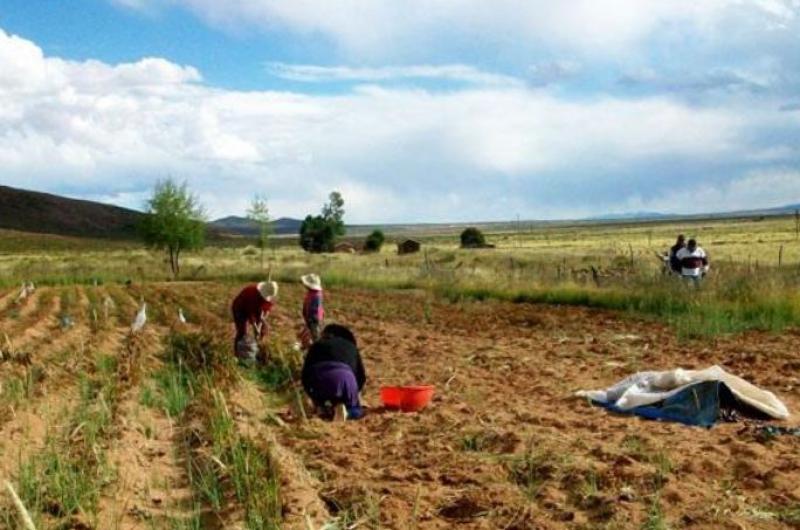 Creacuteditos e impulso para la agricultura familiar en la Quebrada de Humahuaca