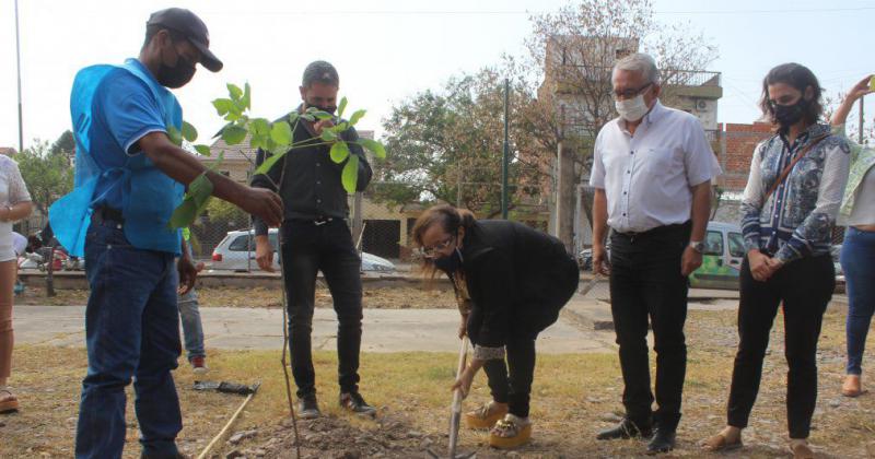 Escuelas de San Pedro plantaraacuten 714 ejemplares de aacuterboles nativos