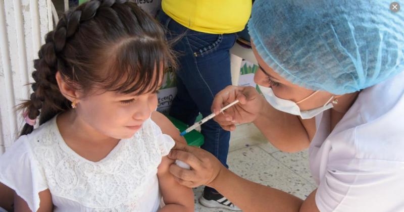 Pediatras avalan la vacunacioacuten a nintildeos