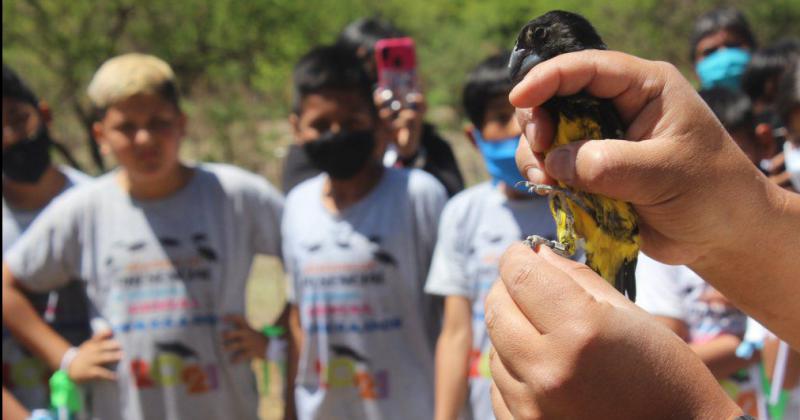 Celebraron seis antildeos de creacioacuten del Centro de atencioacuten de la fauna autoacutectona