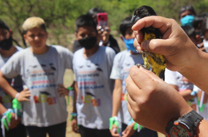 Celebraron seis antildeos de creacioacuten del Centro de atencioacuten de la fauna autoacutectona