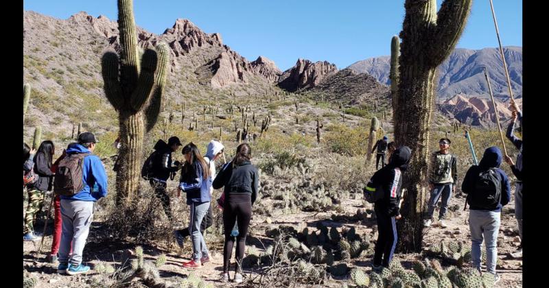 35 hectaacutereas de cardones fueron remediadas en Maimaraacute