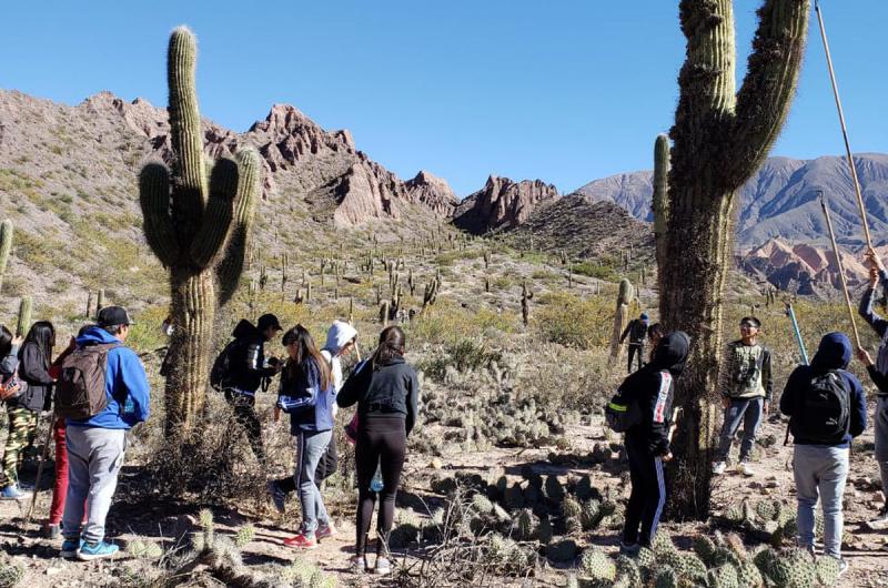 35 hectaacutereas de cardones fueron remediadas en Maimaraacute