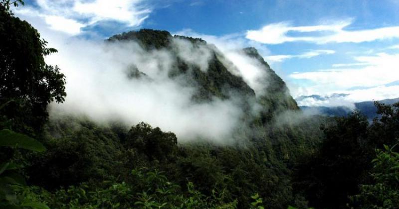 La Corte rechazoacute una cautelar por el Parque Nacional Calilegua