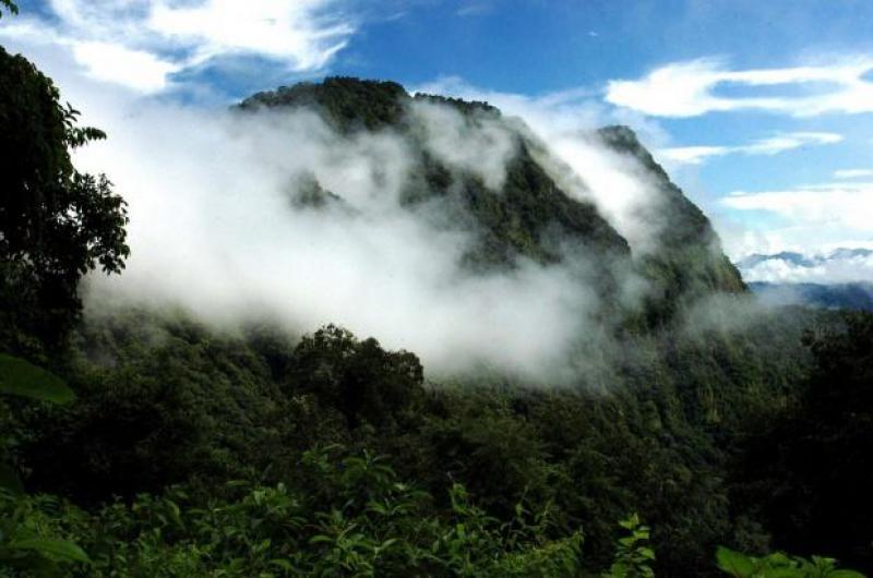 La Corte rechazoacute una cautelar por el Parque Nacional Calilegua