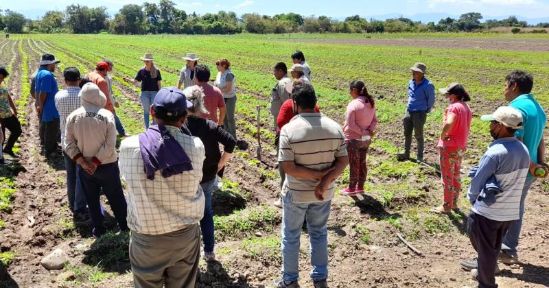 Promueven un manejo agroecoloacutegico en los Valles templados de Jujuy y Salta