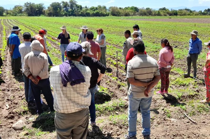 Promueven un manejo agroecoloacutegico en los Valles templados de Jujuy y Salta