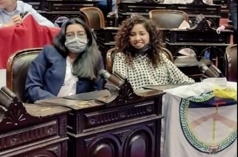 Jujuy participoacute de instancia nacional del Parlamento Juvenil del Mercosur 2021